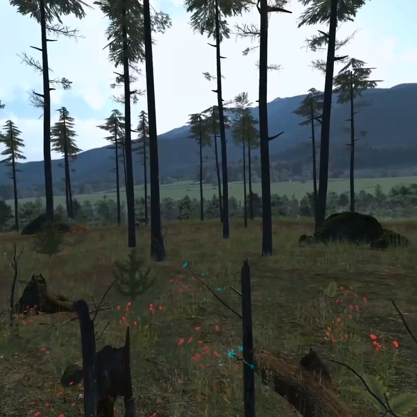 VR дает возможность через иммерсивный опыт развивать проэкологическое поведение. Фото: фиджитал проект 